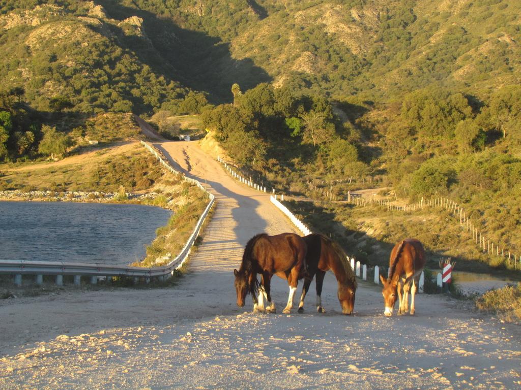 Cabañas de Montaña San Miguel Cortaderas Exterior foto